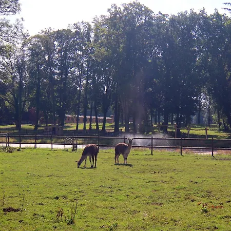 Nahe Golf Wendorf (Kuhlen-Wendorf)
