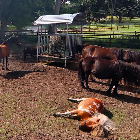 Nahe Golf Semesterbostad Wendorf (Kuhlen-Wendorf)