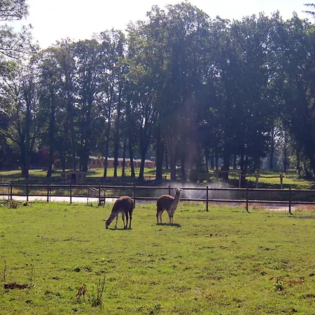 Semesterbostad Nahe Golf Wendorf (Kuhlen-Wendorf)