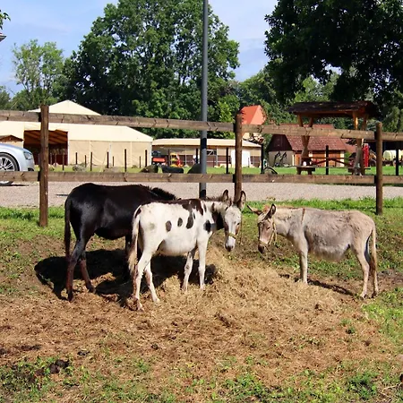 Nahe Golf Wendorf (Kuhlen-Wendorf)