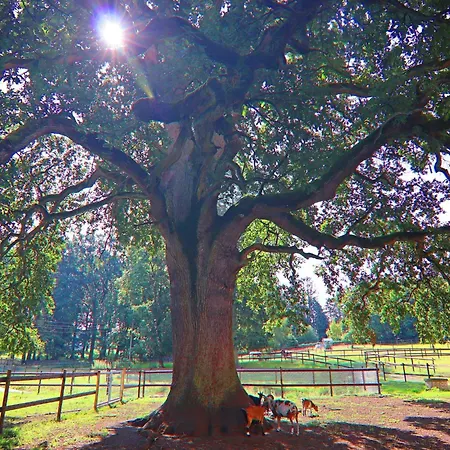 Semesterbostad Nahe Golf Wendorf (Kuhlen-Wendorf)